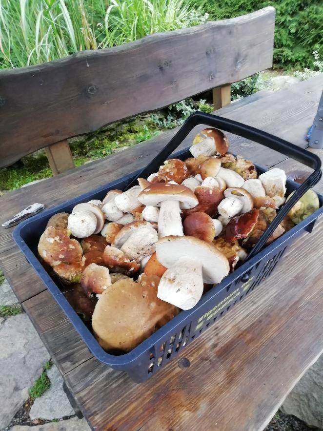 Chata Venda Lipno nad Vltavou Eksteriør billede